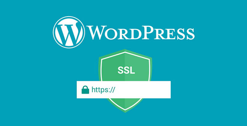 SSL